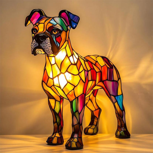 Boxer Shine