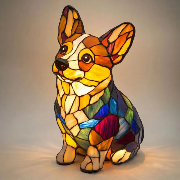 Corgi Shining Light